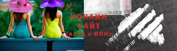 бошки Алзамай