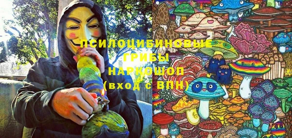 бошки Алзамай