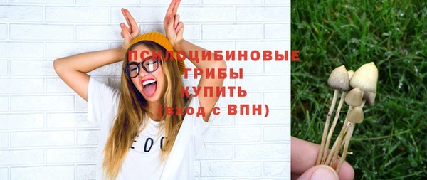 spice Алексин
