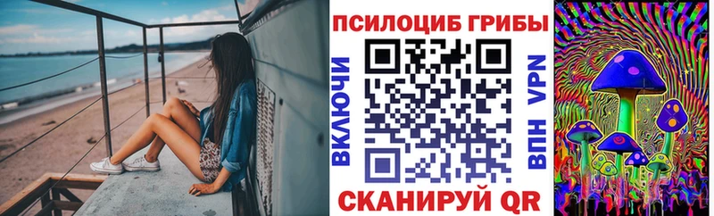 хочу   Арамиль  Псилоцибиновые грибы мицелий 